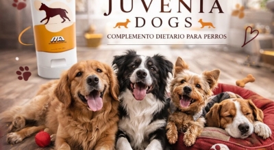 Novedades y ofertas de carnaval